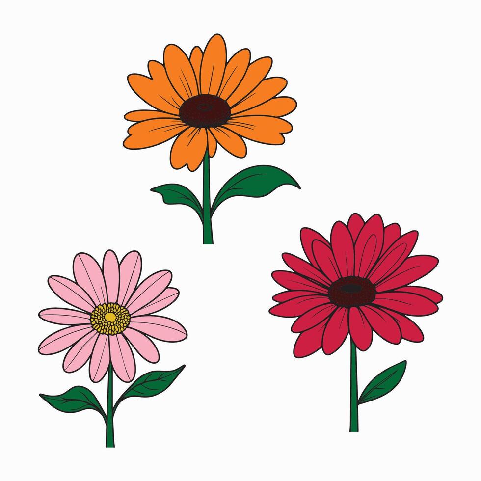 colourful daisy flower vector