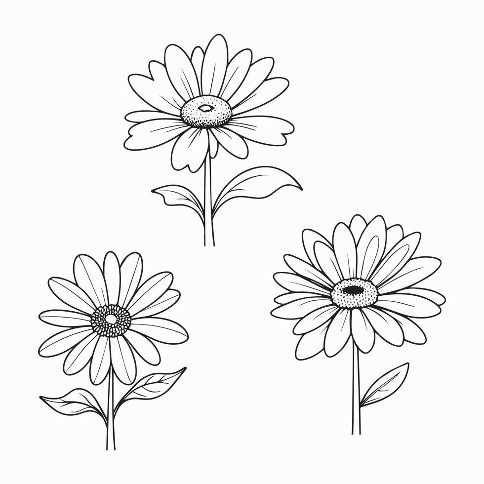 line art daisy flower vector