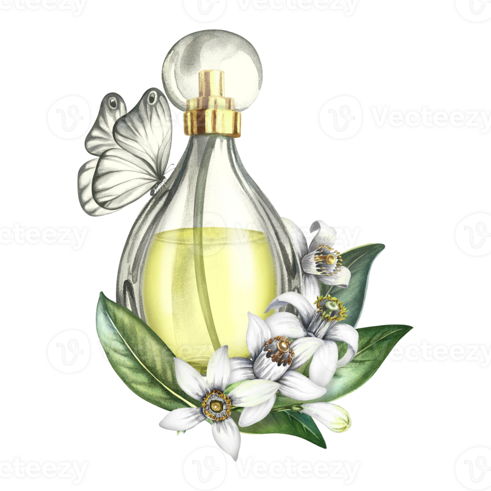 A bottle of perfume made of transparent glass, orange blossom flowers and a butterfly. Vintage yellow perfume with the scent of citrus flowers. A hand-drawn watercolor illustration. png