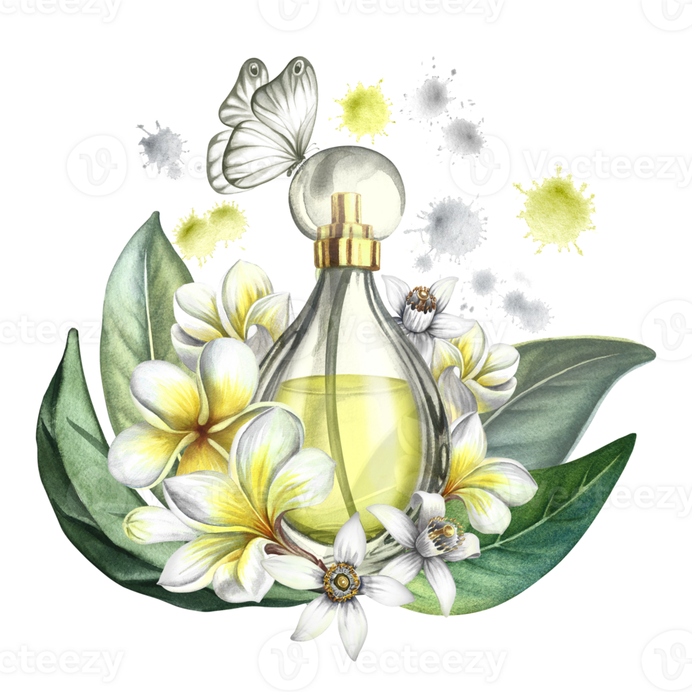 uma perfume garrafa fez do transparente vidro com plumeria, frangipani e laranja Flor flores vintage amarelo perfume com uma borboleta. desenhado à mão aguarela ilustração. para embalagem, cartões postais. png