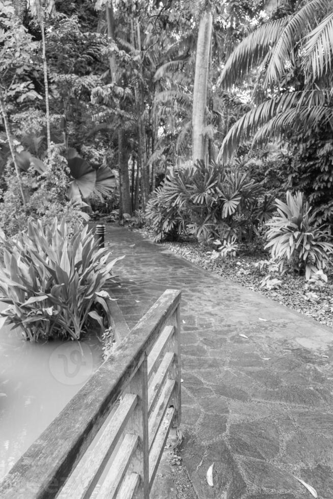 Garden in Singapur photo