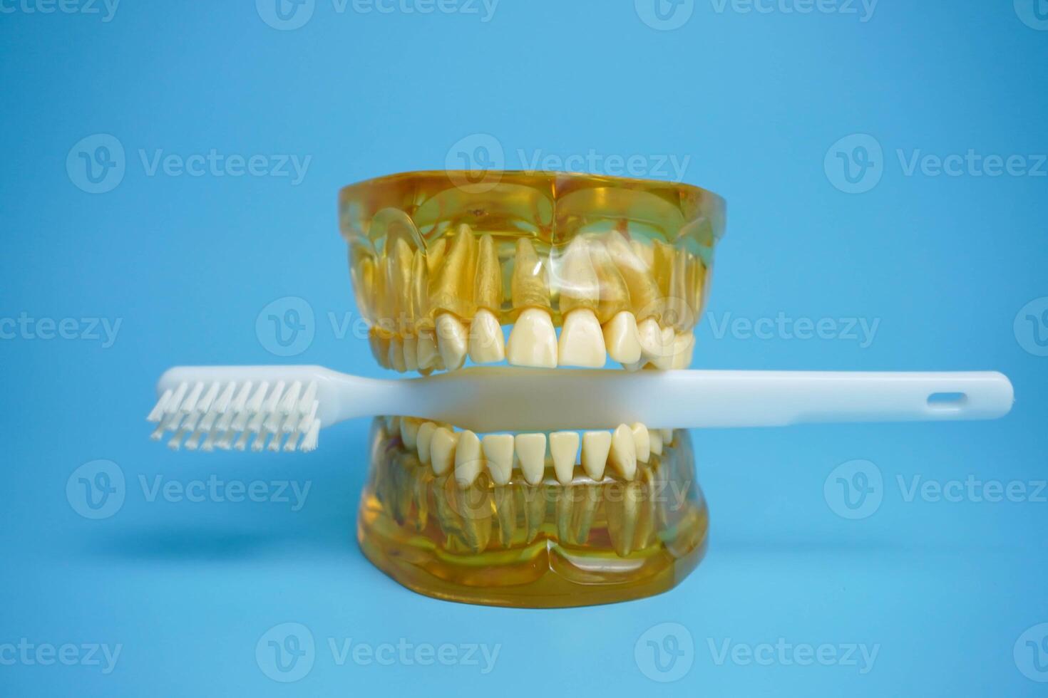 dentadura postiza con un cepillo de dientes en un azul fondo.superior y inferior mandíbulas con falso dientes. dentadura postiza o falso dientes, de cerca. foto