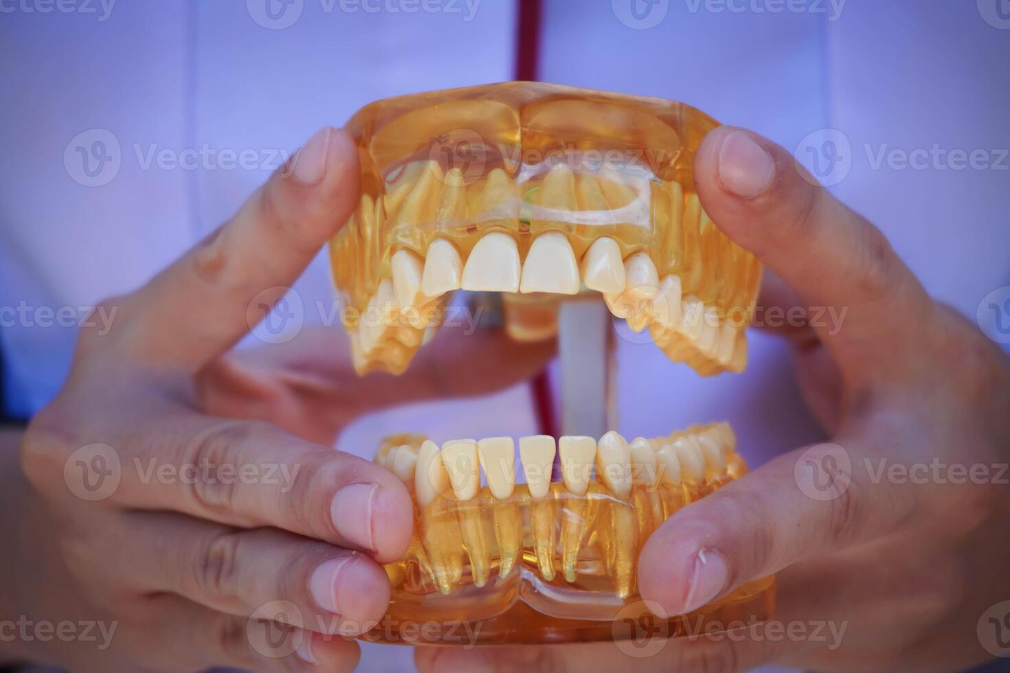 The doctors hands hold an ars. The dentist shows an example of tooth alignment. Tooth platestificial model of the jaw with break photo