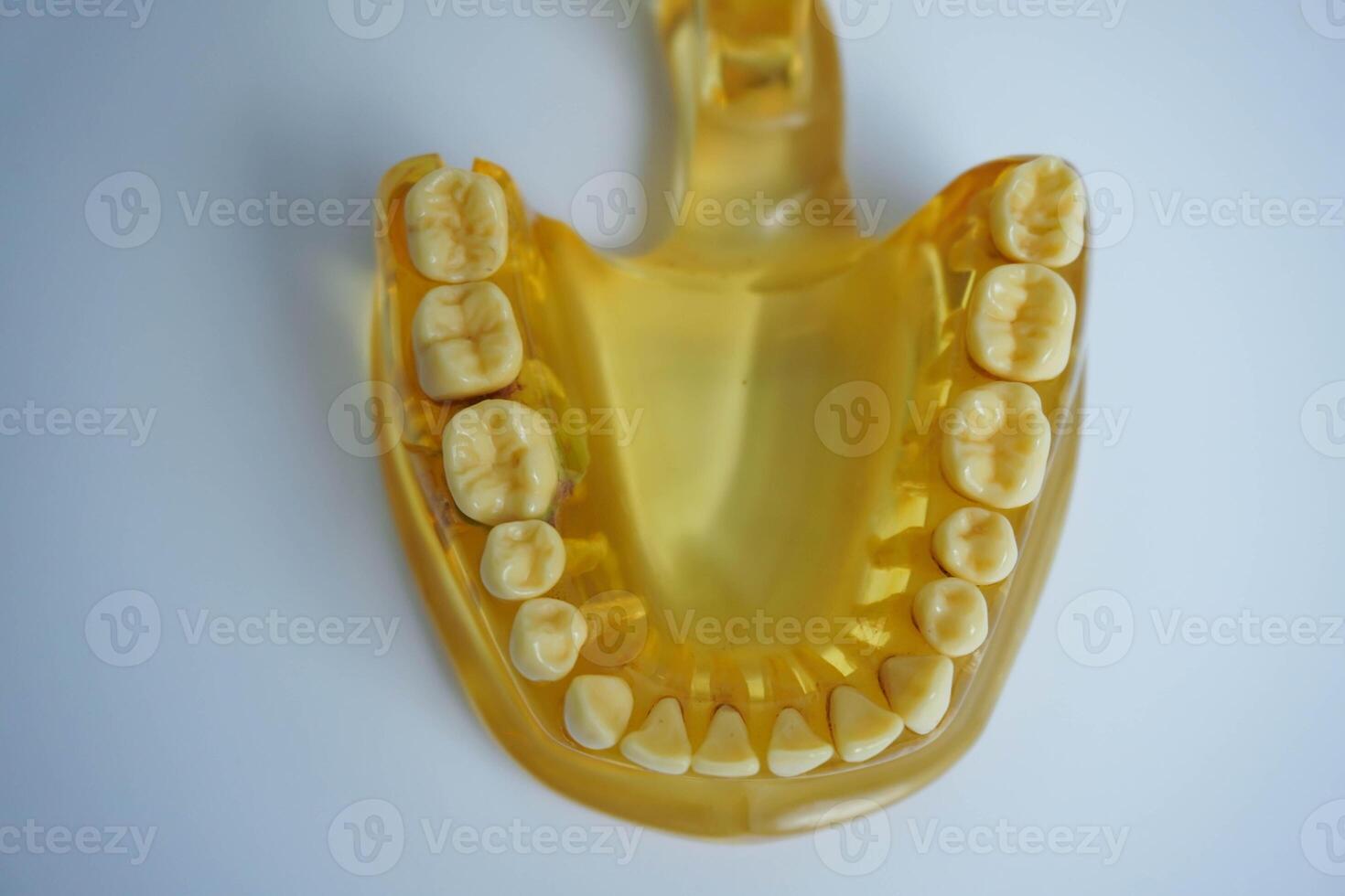 amarillo mandíbula modelo en blanco antecedentes. dentadura postiza o falso dientes foto