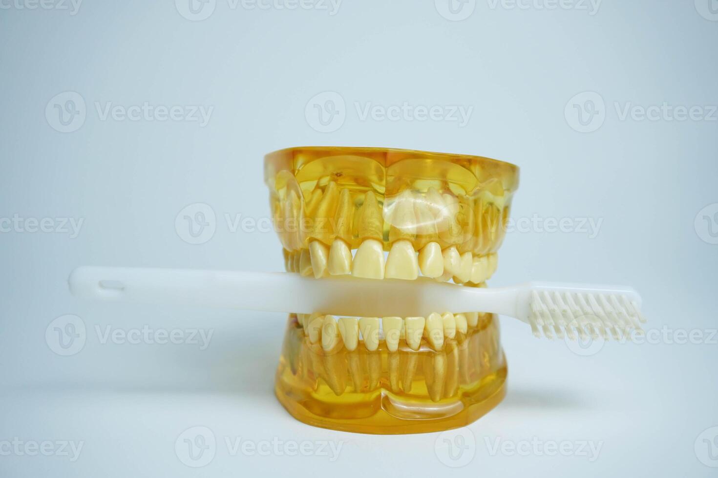 Dentures with a toothbrush on a white background.Upper and lower jaws with false teeth. Dentures or false teeth, close-up. photo