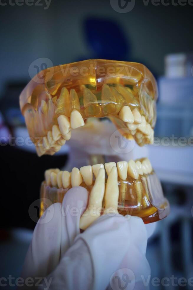 dentista participación un artificial inferior mandíbula. dental prótesis. diente lámina. dental modelo médico objeto para enseñando estudiante en dental cuidado colegio foto