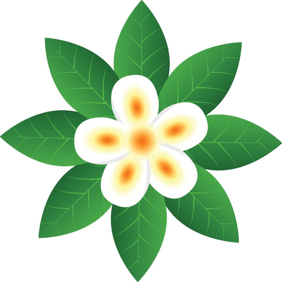 Flower isolated on transparent background vector