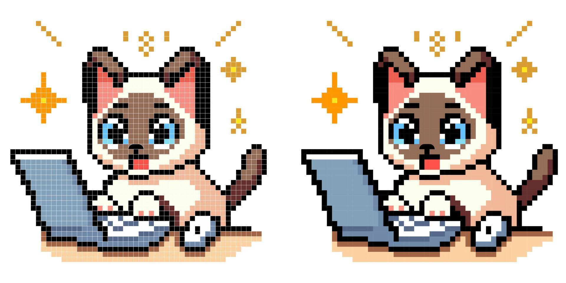 vector píxel Arte icono con siamés gato mecanografía en un computadora con un sorprendido cara en un blanco antecedentes