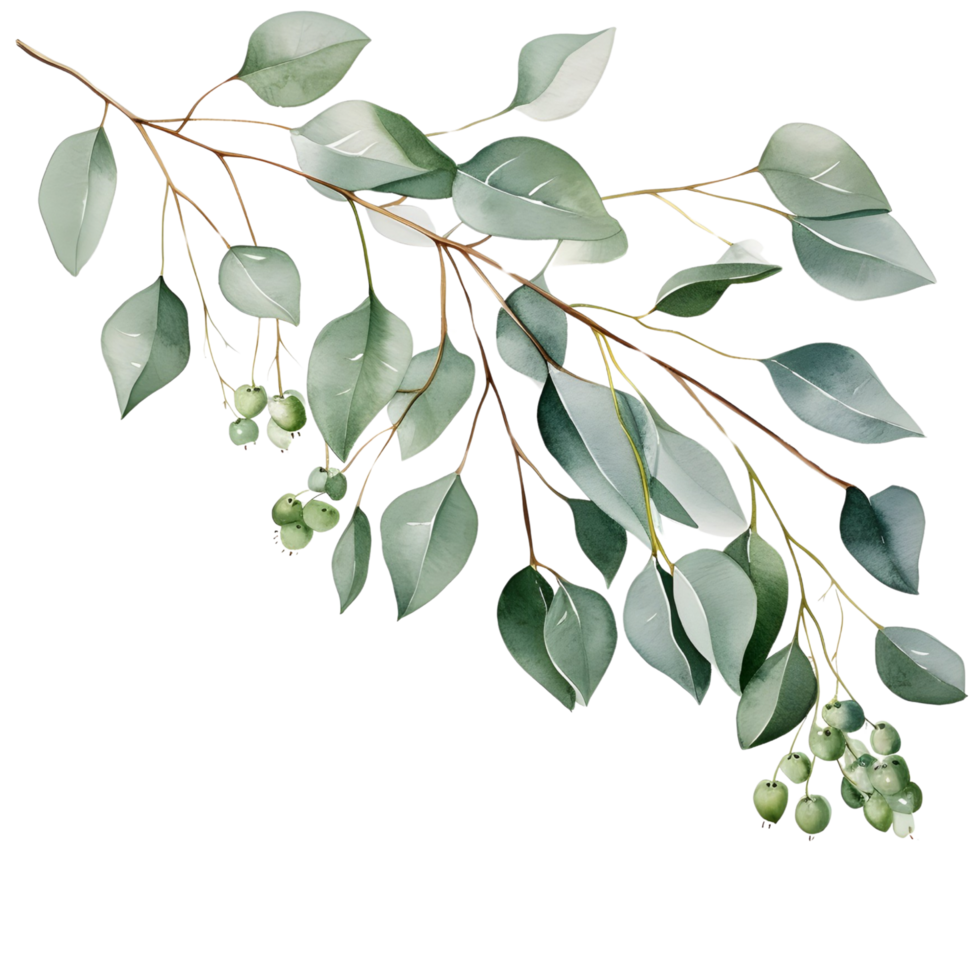 AI generated Eucalyptus leaf wedding png