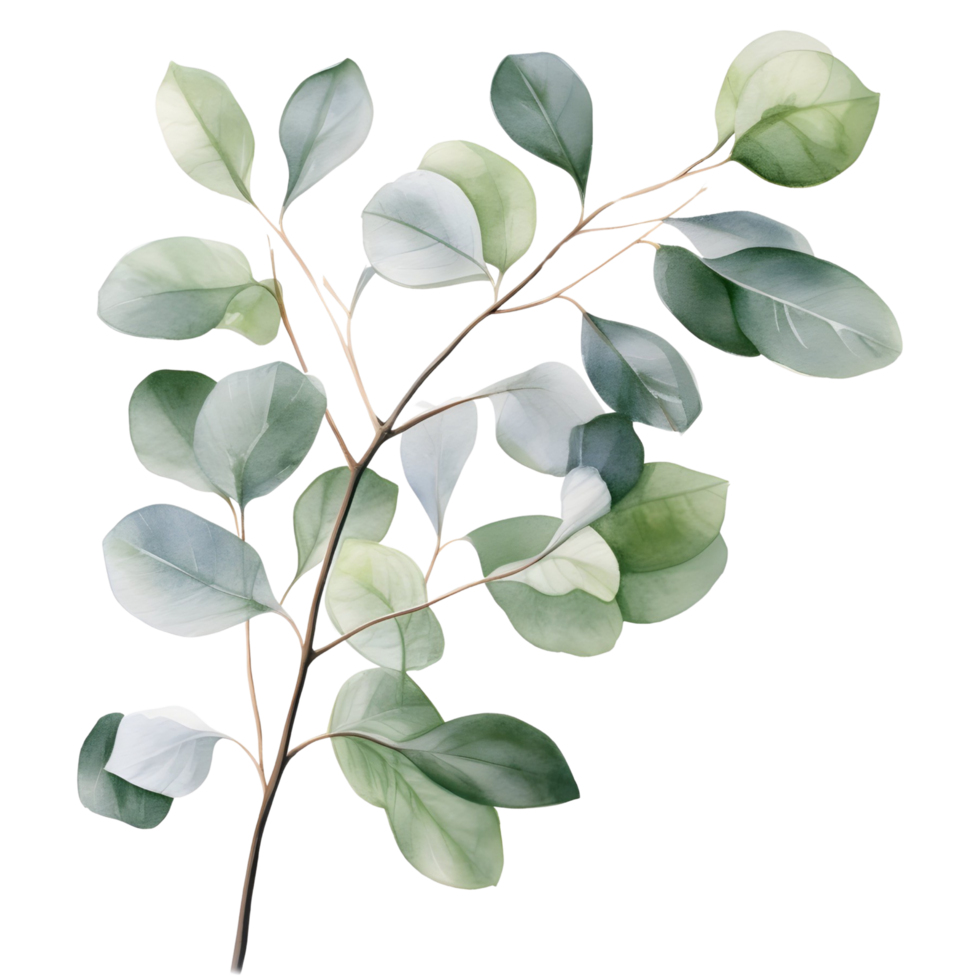 AI generated Eucalyptus leaf wedding png