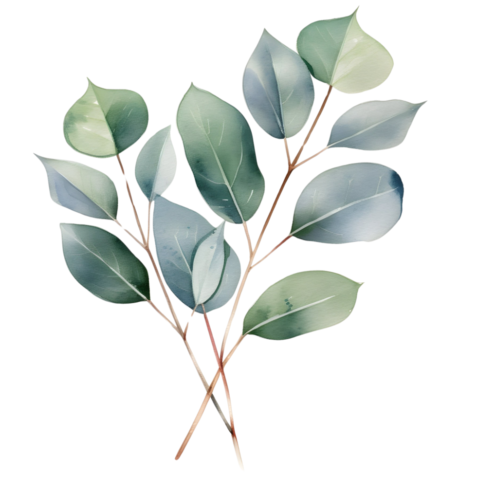 AI generated Eucalyptus leaf wedding png