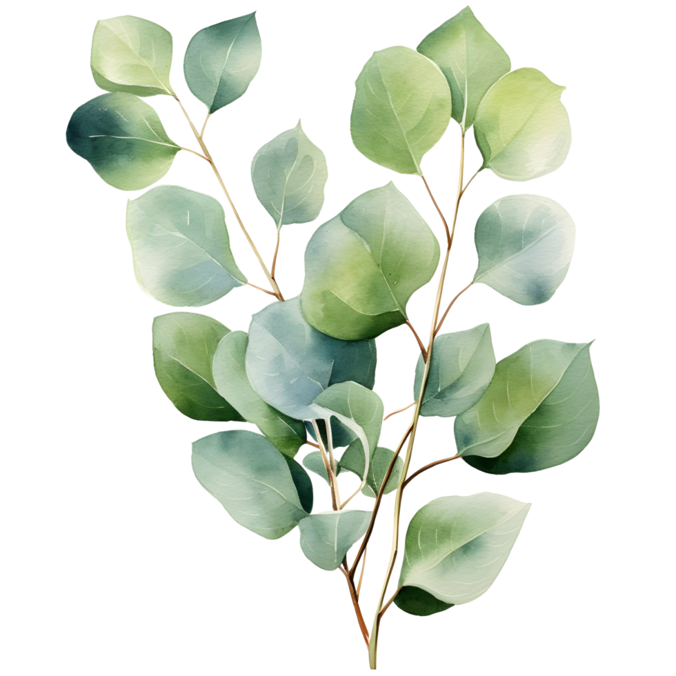 AI generated Eucalyptus leaf wedding png