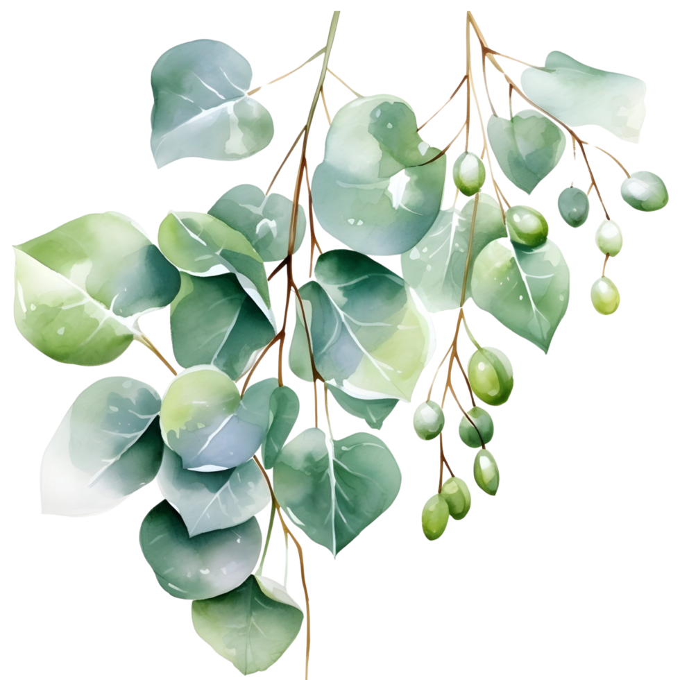 AI generated Eucalyptus leaf wedding png