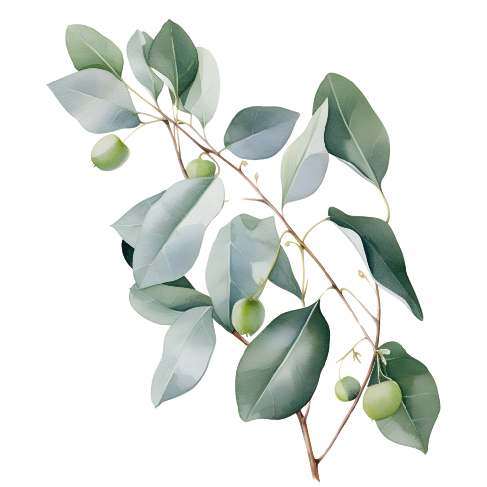 AI generated Eucalyptus leaf wedding png