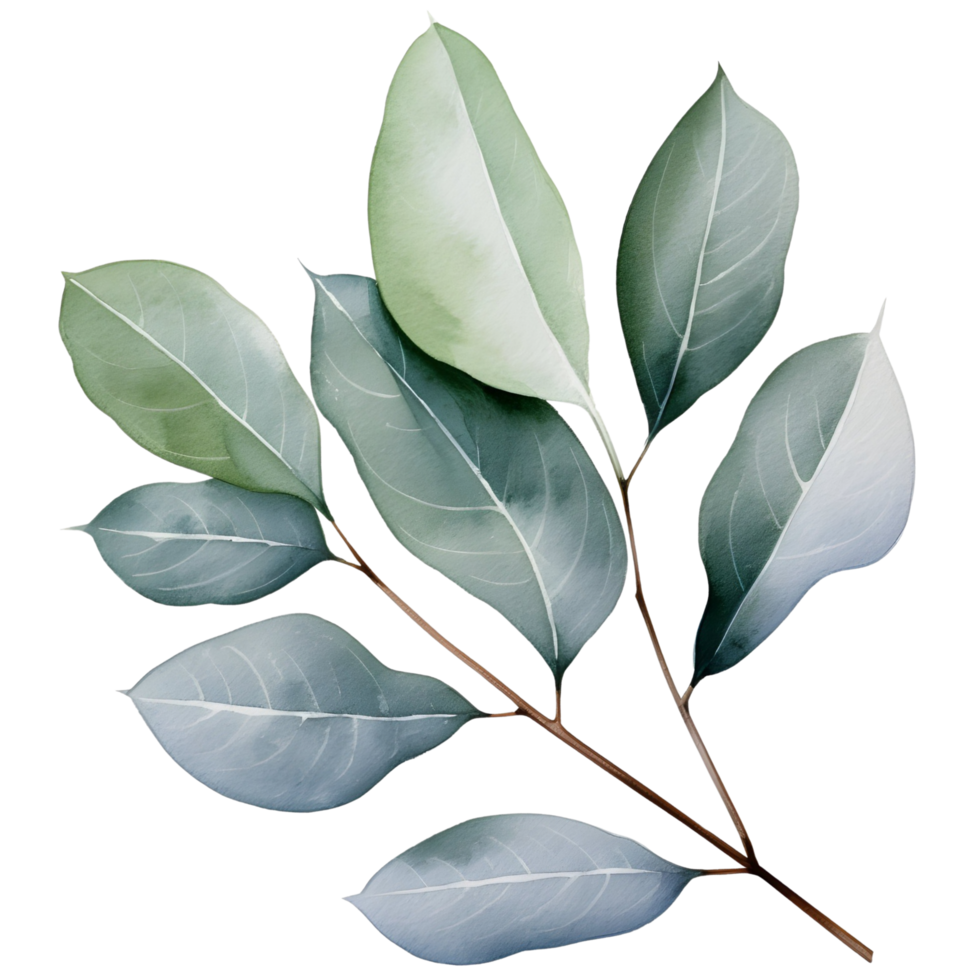 AI generated Eucalyptus leaf wedding png