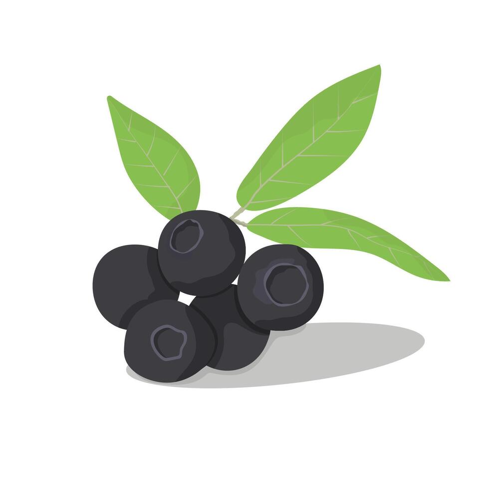 blueberries in the vector. A sprig of blueberries for social networks, web design. vector