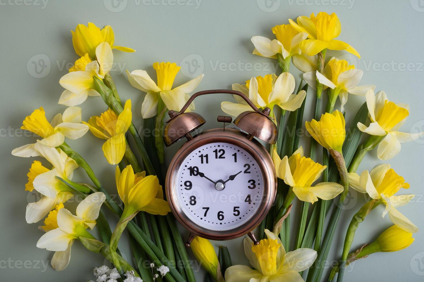Alarm clock with spring flowers top view. Spring time, daylight savings concept, spring forward photo