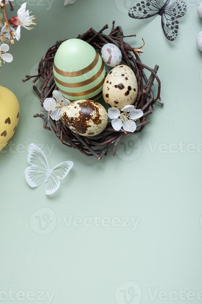 Easter eggs in a nest with flowers and a butterfly on coloured background. Vertical format photo