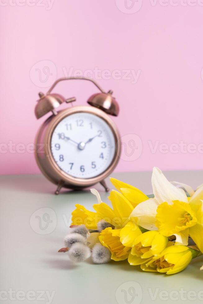 Spring flowers daffodils and willow with defocused alarm clock. Spring time, daylight savings concept, spring forward photo