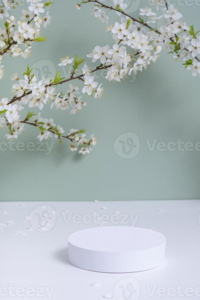 Empty podium or pedestal with spring bloom. Cosmetic products template mock up. photo