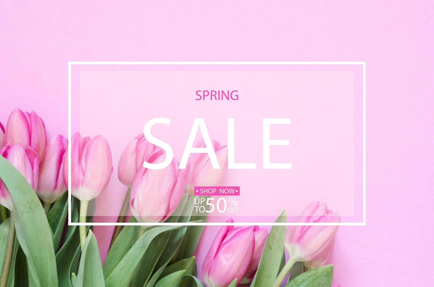 Spring sale background with of spring flowers- tulips. photo