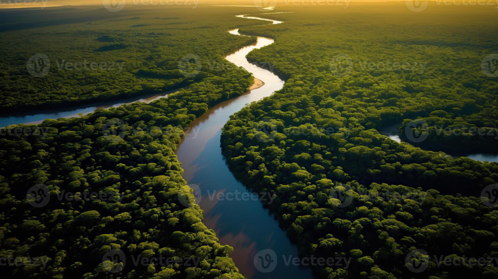 AI generated Tropical river flow through the jungle forest at sunset or sunrise. Amazon river flowing in photo