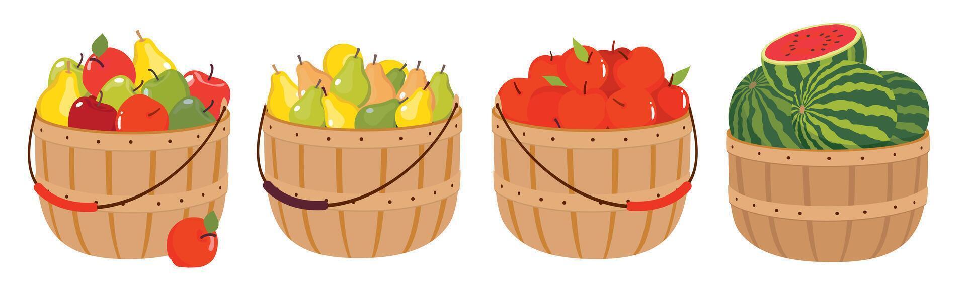 A set of fruit baskets with a harvest of apples, pears, watermelons. Pears, apples, watermelons in wicker baskets with a handle. Farmer's harvest of fruits in a container. Vector illustrated clipart.
