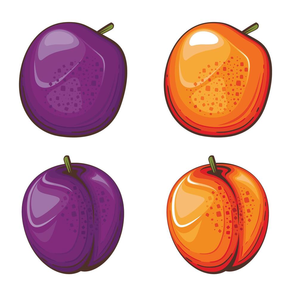 Plum isolated vector illustration. Fruits colorful illustrations isolated on white background.  Fruit collection.