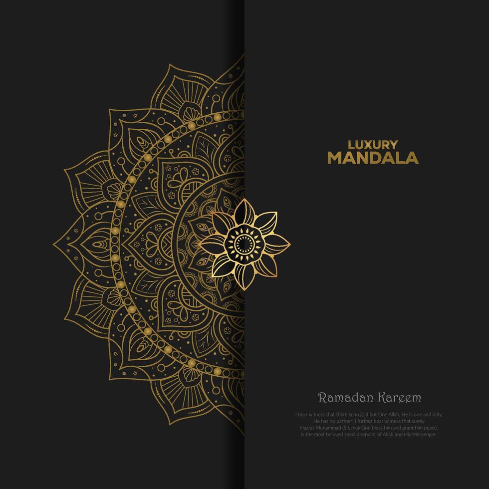 luxury mandala vector design