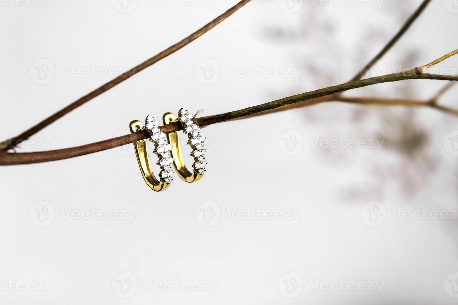 set of fashion earrings, earrings with diamonds stone on white background. High quality photo