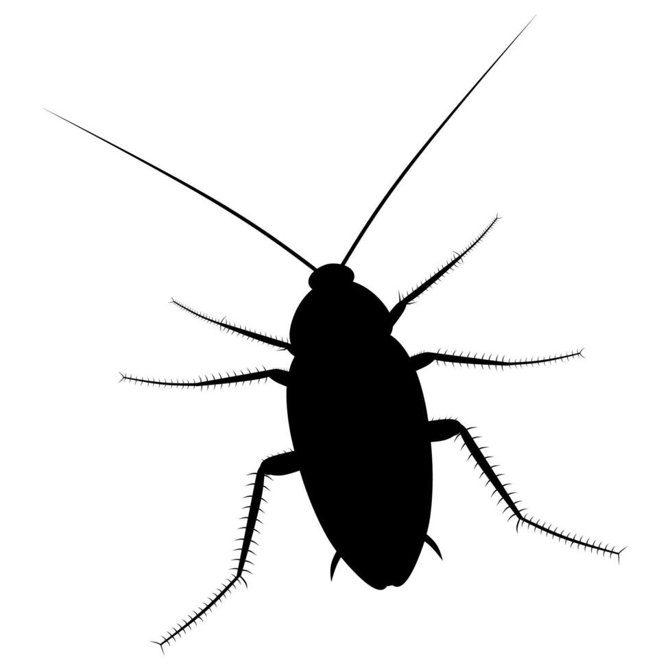 Cockroach insect vector silhouette on white background. Dirty and very dangerous pest insects.