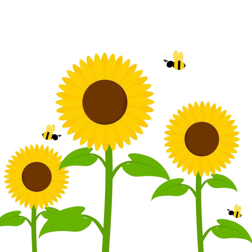 vector ilustración de girasol con miel abeja aislado en blanco antecedentes. flores con floreciente pétalos y diferente tamaños adecuado para primavera y verano diseños