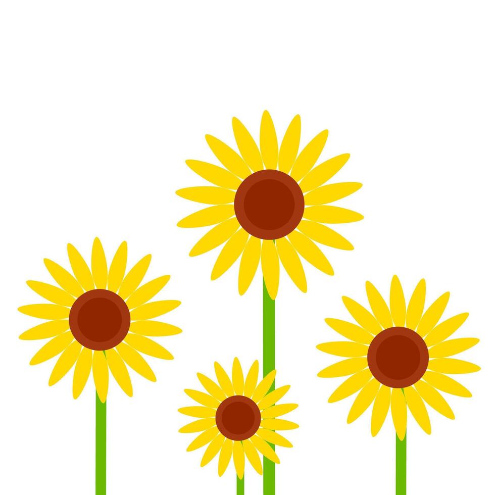 Vector illustration of a bunch of yellow sunflowers of different sizes. Flower with blooming petals isolated on white background.