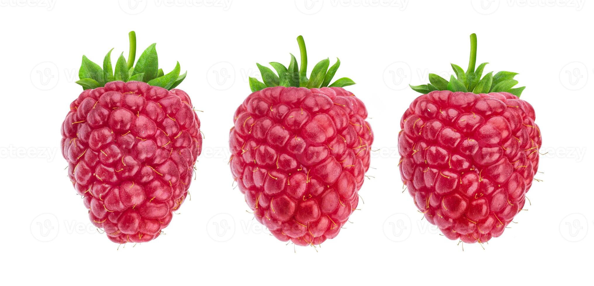 One raspberry isolated on white background, collection photo