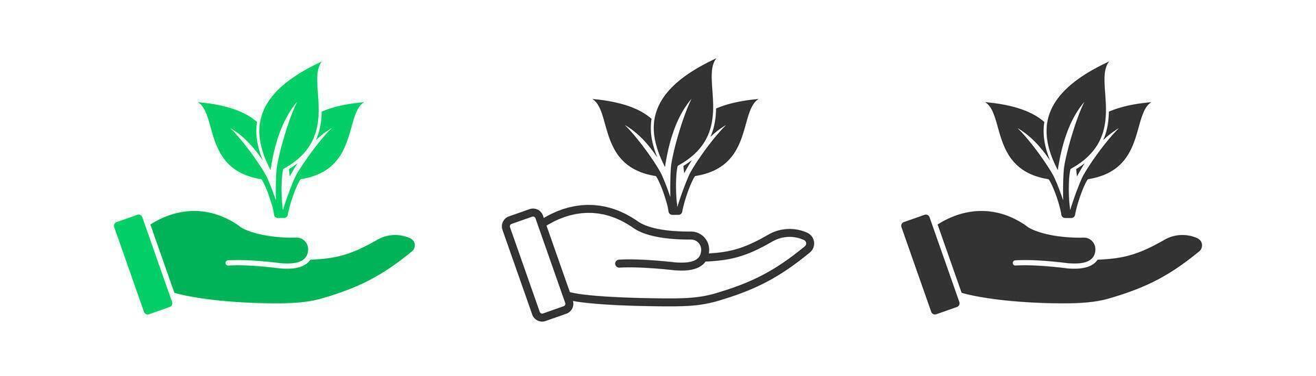 Hand holding sprout icon. Germinating plant. Organic environment sign. Tree growth symbol. vector