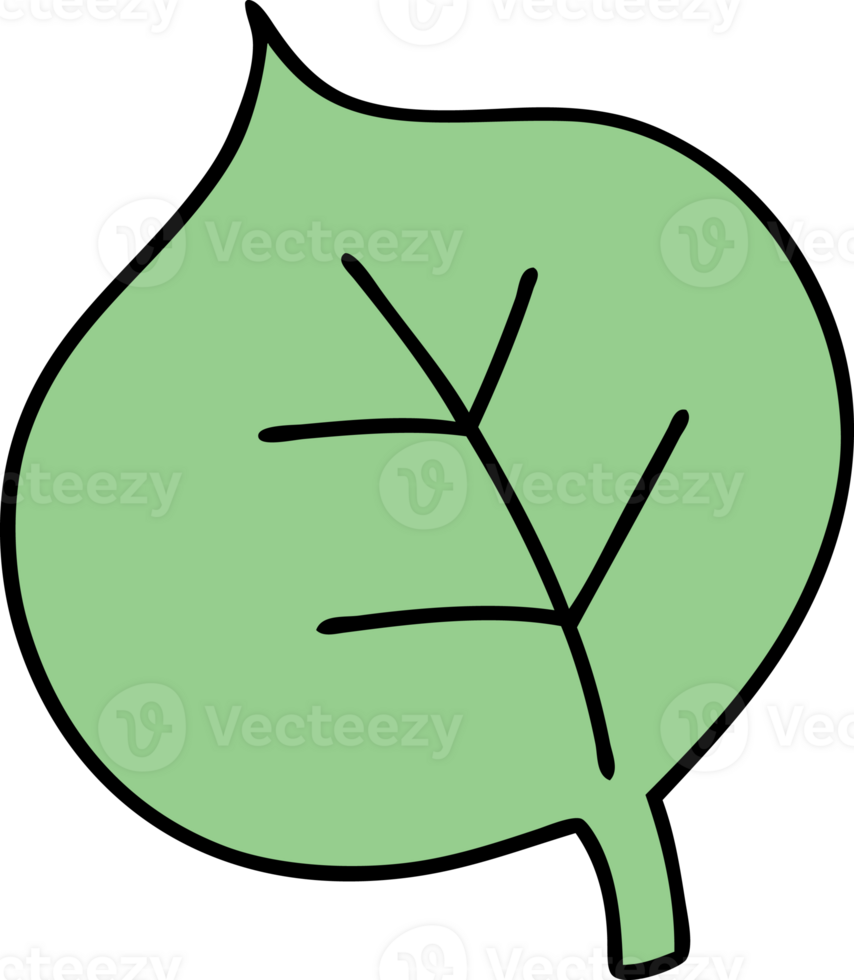 cartoon of a simple yet magnificent leaf png