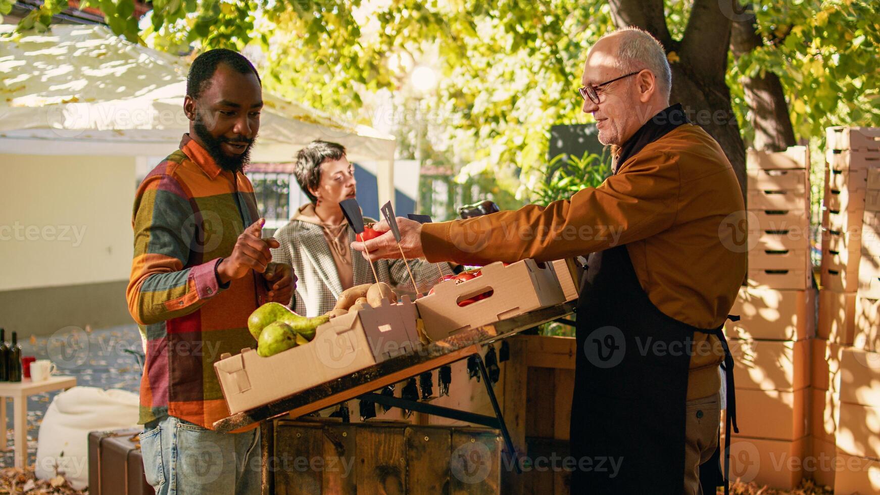 Senior farmer and young vendor talking to diverse couple at local street fair, selling fresh homegrown products outdoors. Team of stall holders giving organic produce to happy people. photo
