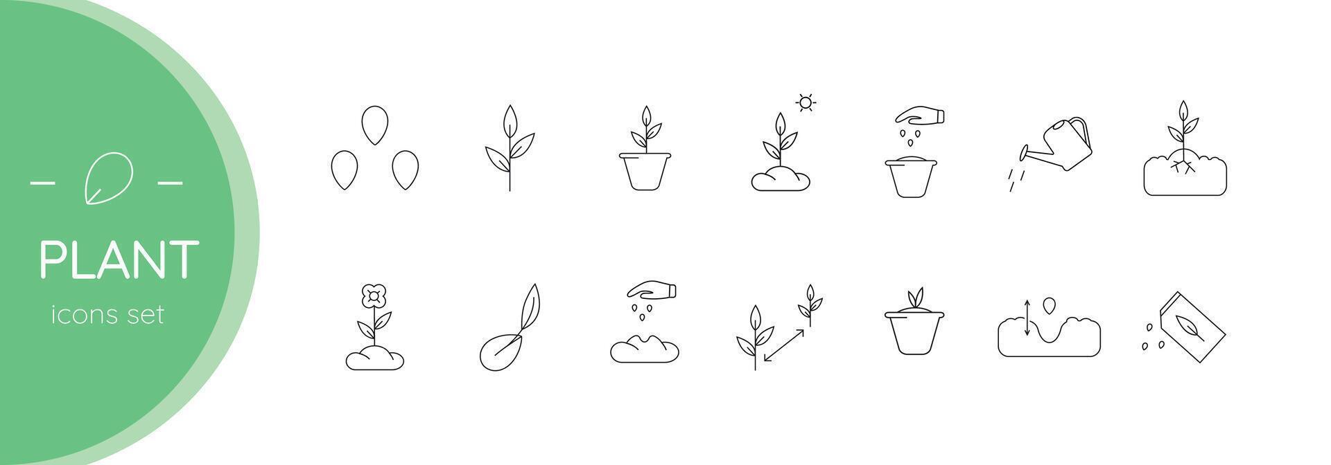 To plant plants. Seedling. Set of vector linear icons.