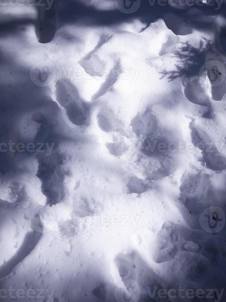 Beautiful snow surface with abstract shadows photo