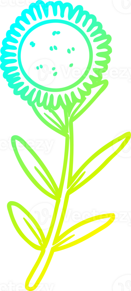 cold gradient line drawing cartoon sunflower png