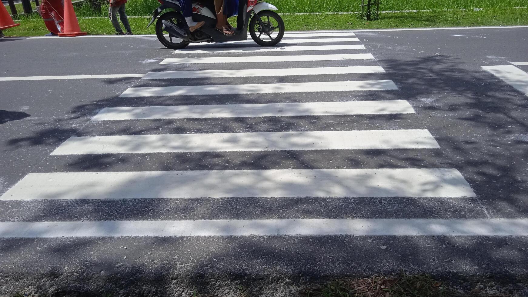 Crosswalk signs on the road photo