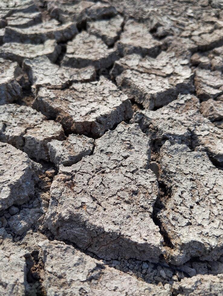 Dry cracked soil texture and background of ground photo