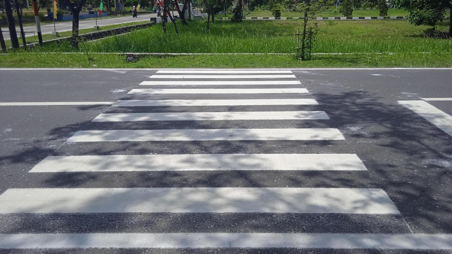 Crosswalk signs on the road photo