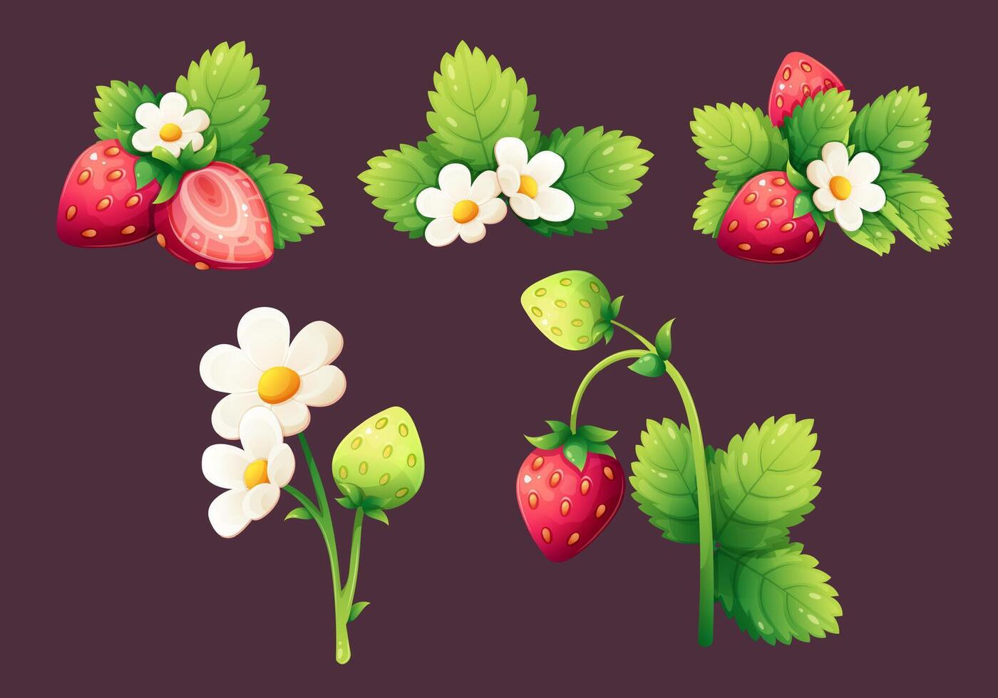 conjunto de fresas rojo y inmaduro fresas con blanco flor y hojas. dibujos animados vector ilustración en degradado para orgánico productos, verano postres y bebidas