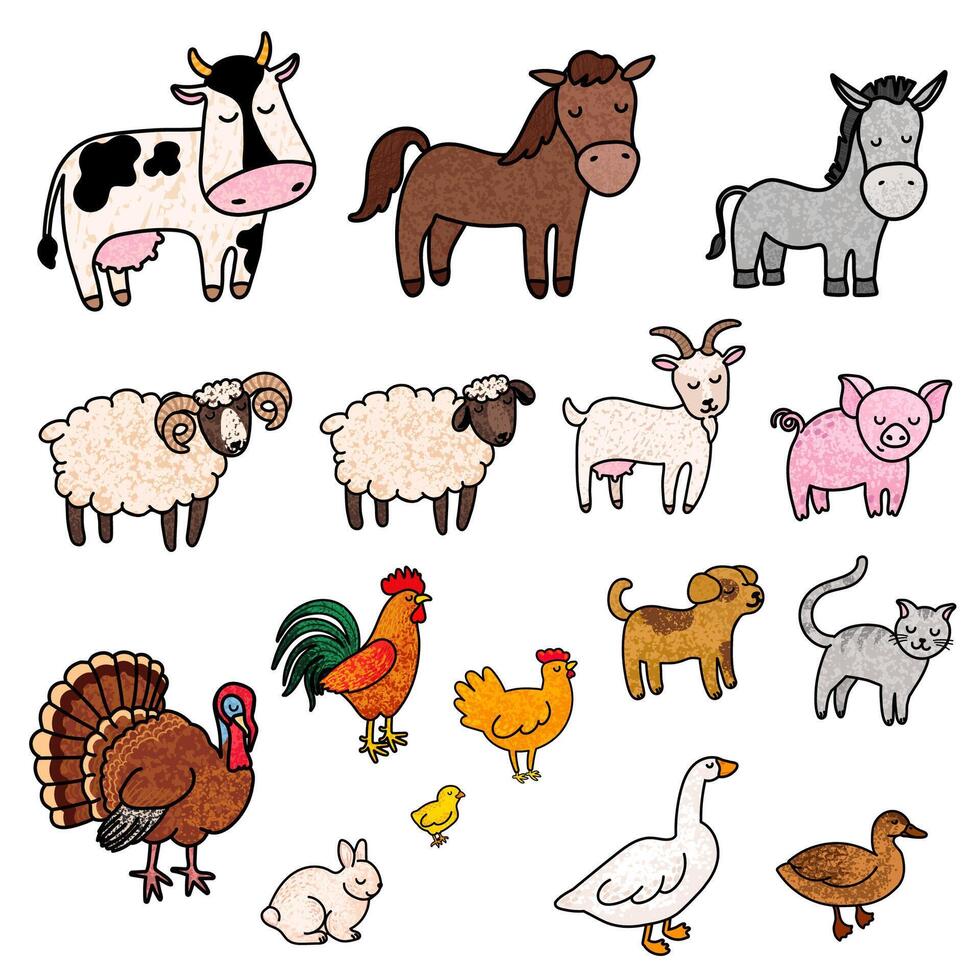 Vector Colorful Illustration of Farm Animals Isolated on White Background