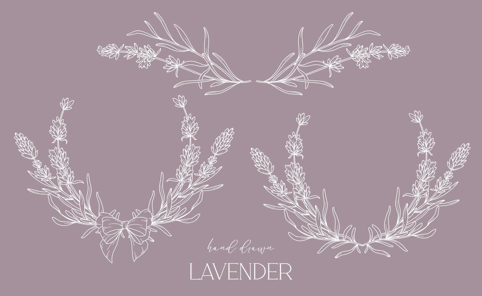 Lavender Line Drawing. Black and white Floral Frames. Floral Line Art. Fine Line Lavender illustration. Hand Drawn Outline flowers. Botanical Coloring Page. Wedding invitation flowers vector