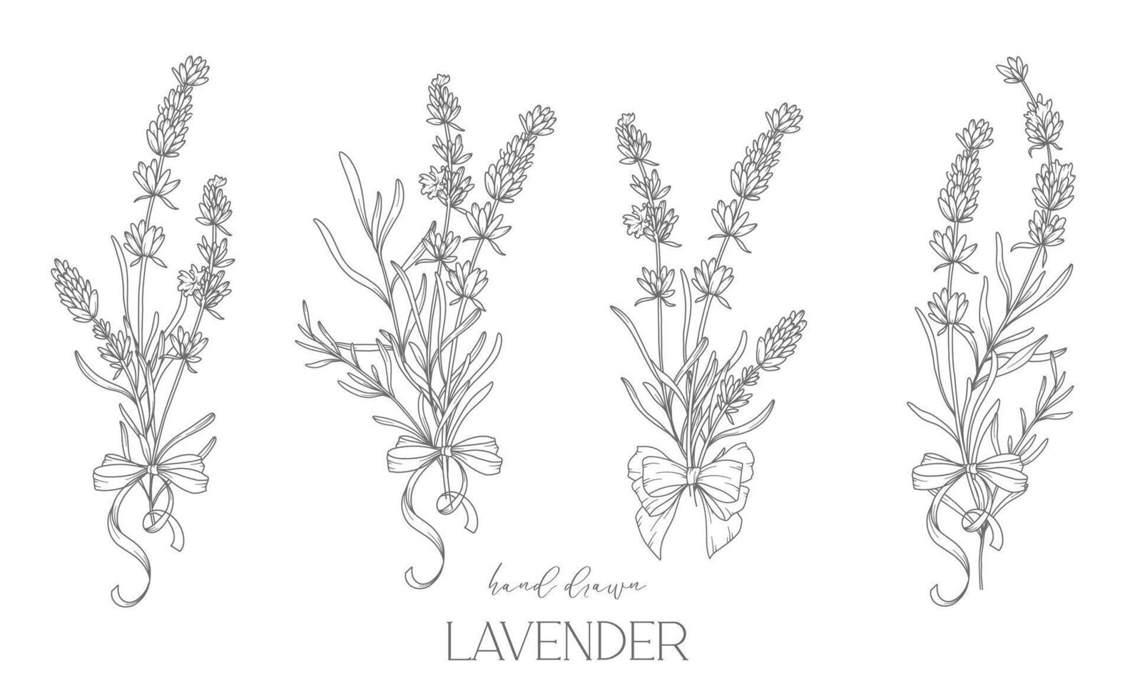 lavanda línea dibujo. negro y blanco floral ramos de flores flor colorante página. floral línea Arte. multa línea lavanda ilustración. mano dibujado flores botánico colorante. Boda invitación flores vector