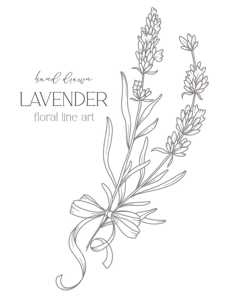 Lavender Line Drawing. Black and white Floral Bouquets. Flower Coloring Page. Floral Line Art. Fine Line Lavender illustration. Hand Drawn flowers. Botanical Coloring. Wedding invitation flowers vector