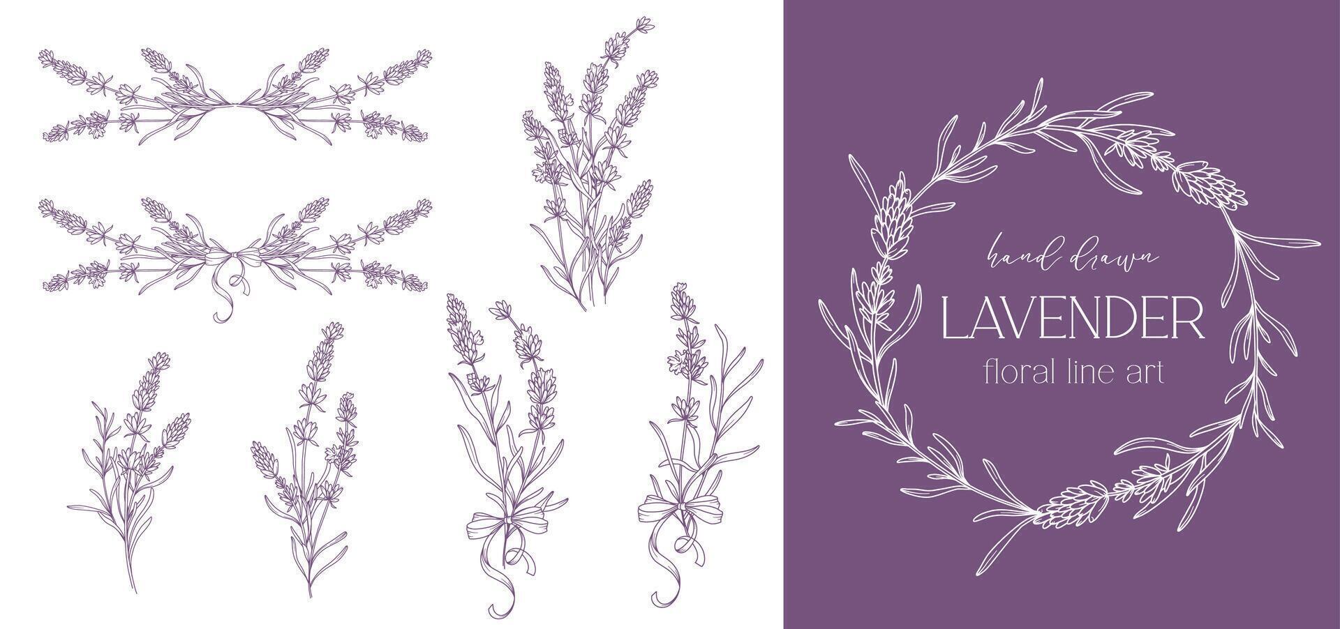 lavanda línea dibujo. negro y blanco floral ramos de flores flor colorante página. floral línea Arte. multa línea lavanda ilustración. mano dibujado flores botánico colorante. Boda invitación flores vector