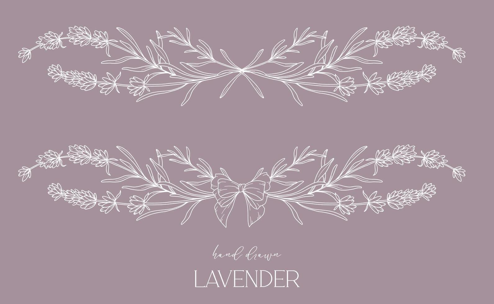 Lavender Line Drawing. Black and white Floral Frames. Floral Line Art. Fine Line Lavender illustration. Hand Drawn Outline flowers. Botanical Coloring Page. Wedding invitation flowers vector